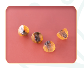 1645492979162160.png 知乎2.16-3.png